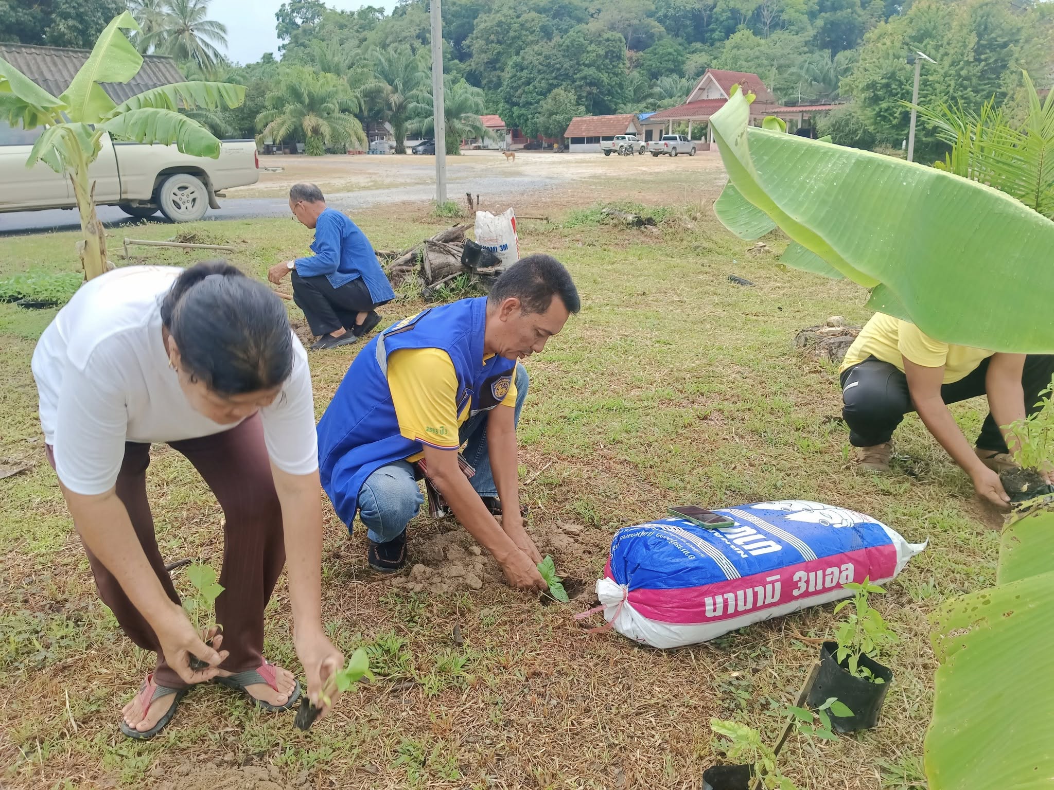 พช.นบพิตำ : ขับเคลื่อนกิจกรรมขับเคลื่อนการพัฒนาหมู่บ้านและครัวเรือนต้นแบบ “บ้านนี้มีรัก ปลูกผักกินเอง” ระดับอำเภอ ในการน้อมนำแนวพระราชดำริของสมเด็จพระกนิษฐาธิราชเจ้า กรมสมเด็จพระเทพรัตนราชสุดา ฯ สยามบรมราชกุมารี สู่การปลูกผักสวนครัวเพื่อสร้างความมั่นคงทางอาหาร